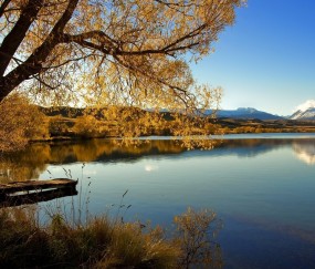 怀孕初期胃胀喘不过气是怎么回事（怀孕初期胃胀气难受怎么回事）