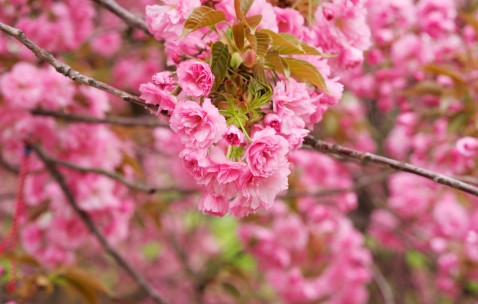 南昌捐卵机构怎么联系，附18家生殖中心名单！