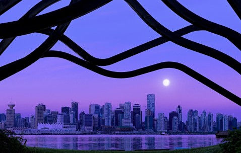 包含南昌正规供卵医院地址详细名单公布，附供卵管成功率、费用预算！的词条