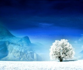 卵泡刺激激素17（卵泡刺激激素1660还有机会怀孕吗正常吗）