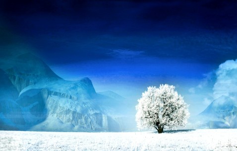 怀孕初期查什么科（怀孕初期查什么科室比较好）