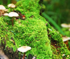 关于南昌能进行供卵试管的医院汇总，2024合法供卵生殖中心前三榜单！的信息