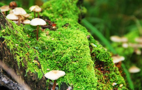 怀孕初期嗓子感觉有东西怎么办（怀孕初期嗓子堵得慌怎么办）