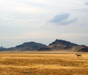 关于南昌能进行供卵试管的医院汇总，附2024成功率最高的供卵试管机构名单！的信息