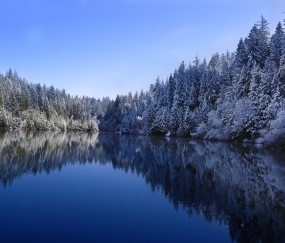 内膜4卵泡17（内膜4卵泡14*13）
