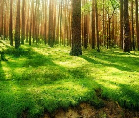 怀孕初期爱乐维吃几颗（孕早期爱乐维用量）