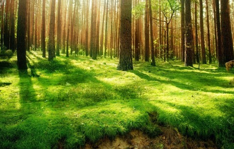 南昌三代供卵试管生男孩医院名单，供卵助孕各阶段费用参考！（南昌能做三代试管的医院）