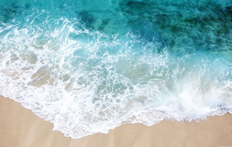 包含福州供卵试管助孕医院排名汇总，2024合法供卵生殖中心前三榜单！的词条