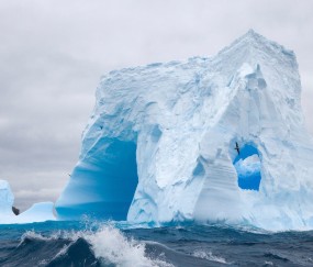 后脑勺右边一跳一跳的疼（我的后脑勺右边跳跳的痛）