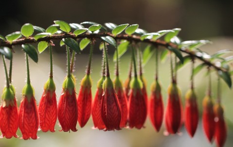 南昌供卵试管最新价目表公开，附供卵流程与成功率！（南昌有哪家医院可供卵）