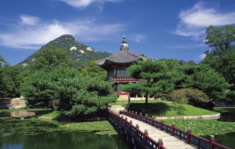 多囊影响试管成功率（多囊做试管会胎停吗）