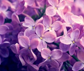 卵泡2.1cm（卵泡21cm×19cm正不正常）