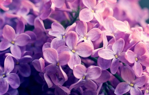 南昌供卵试管最新价目表公开，哪里找本地供卵医院！（南昌捐卵公司）