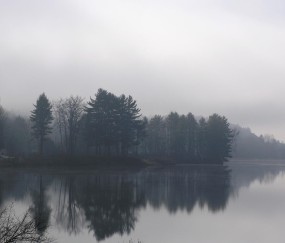 卵泡破裂怎么保养（卵泡破了怎么安排同房）