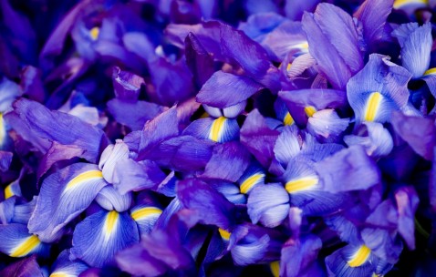 唐筛过了说明胎儿健康吗（唐筛过了说明胎儿健康吗还是孕妇）