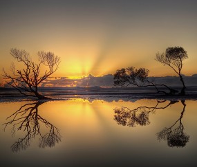 试管以后吃什么