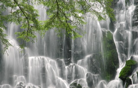 怀孕初期胎芽和胎心生长条件（怀孕初期胎芽和胎心生长条件是什么）