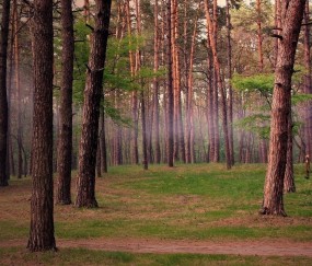 怀孕初期肚子疼有大血块（怀孕初期肚子疼有血块排出）