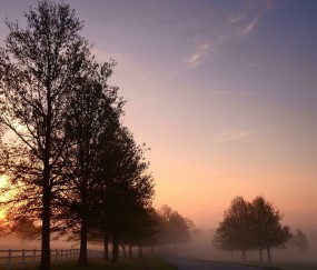 怀孕初期深咖啡色（怀孕初期流深咖色的血）
