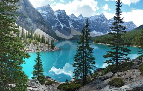 怀孕初期怎么判断孩子是否（孕初期怎么样确定孩子还在）