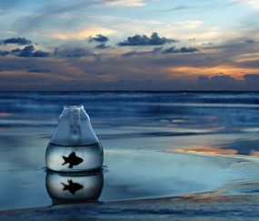 怀孕初期可以吃凉拌苕尖（孕妇初期能吃凉薯吗）