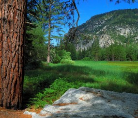 南昌三代供卵试管生男孩医院名单，附试管费用与流程图表！（南昌做试管哪家）