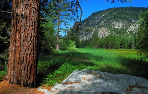 南昌三代供卵试管生男孩医院名单，附试管费用与流程图表！（南昌做试管哪家）