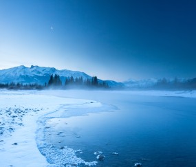 卵泡多怀不了（卵泡多不排卵怎么回事）