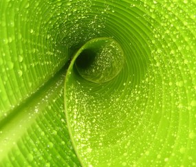 哺乳期吃金针菇下奶吗（喂奶期能吃金针菇吗）