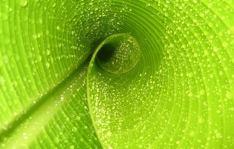 哺乳期吃金针菇下奶吗（喂奶期能吃金针菇吗）