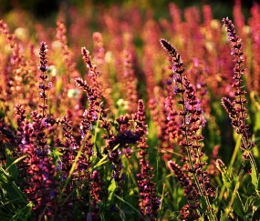 福州5家正规民营供卵机构名单，供卵单周期费用仅4万！（福州那家医院做人工受孕比较好的,费用多少钱）