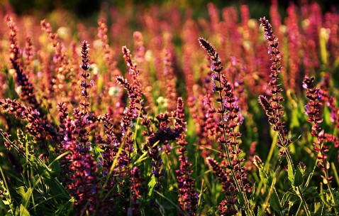 福州5家正规民营供卵机构名单，供卵单周期费用仅4万！（福州那家医院做人工受孕比较好的,费用多少钱）