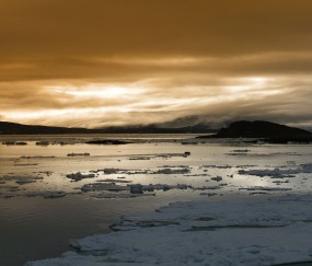 怀孕初期不影响学车（怀孕初期可以学车考试吗?）