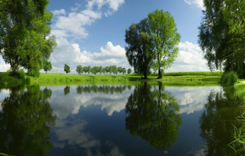 南昌供卵试管费用参考大全，2024申请供卵需要排队吗！（南昌试管婴儿多少钱一次?）