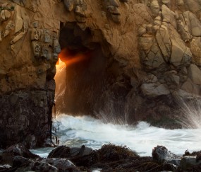 卵巢生长卵泡（卵巢生长卵泡红蓝铅笔手绘图）