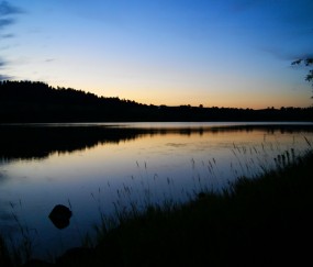 怀孕初期可吃土豆（怀孕初期吃土豆的好处）