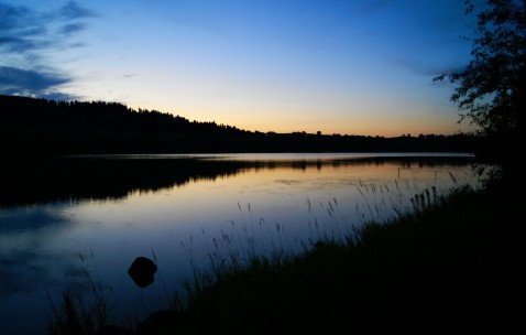 怀孕初期可以吃乌鸡钝汤吗（早孕能吃乌鸡汤吗）