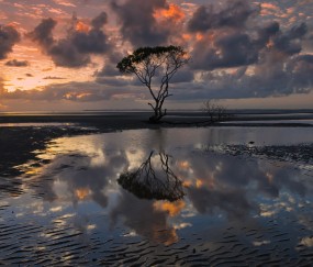 45岁试管晚不晚