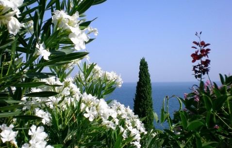 吃什么对肝不好怎么养肝（吃什么对肝不好怎么办）