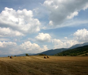 昨天检查卵泡18（昨天检查卵泡18,今天检查就没了）