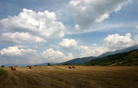 南昌哪家医院有卵子库，高龄不孕夫妇难以等待！（南昌哪个医院检查不孕不育最好）