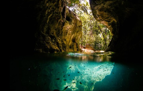 南昌哪家医院有卵子库，高龄借卵生子价格明细！（南昌供卵）