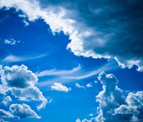 卵泡壁成分意义（卵泡膜卵泡壁）