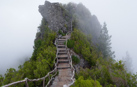 卵泡没破月经失调（卵泡不破月经不来怎么回事）