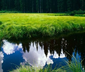 在哺乳期同房怀孕几率（哺乳期同房怀孕的可能性有多大?）