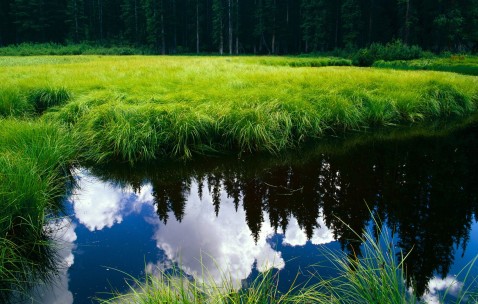 卵泡长到1.31.1（卵泡长到13就不长了）