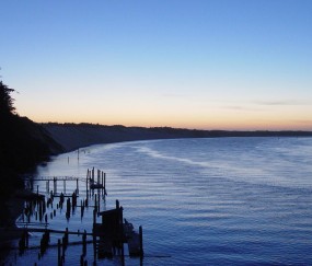 怀孕初期单位能辞退吗（怀孕初期公司辞退可以要求什么赔偿）