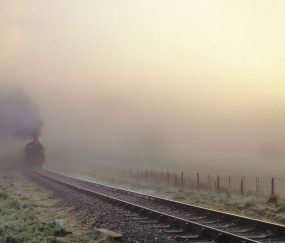 怀孕初期拔牙打麻药了怎么办（孕早期拔牙打麻药）