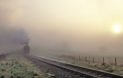 怀孕初期拔牙打麻药了怎么办（孕早期拔牙打麻药）